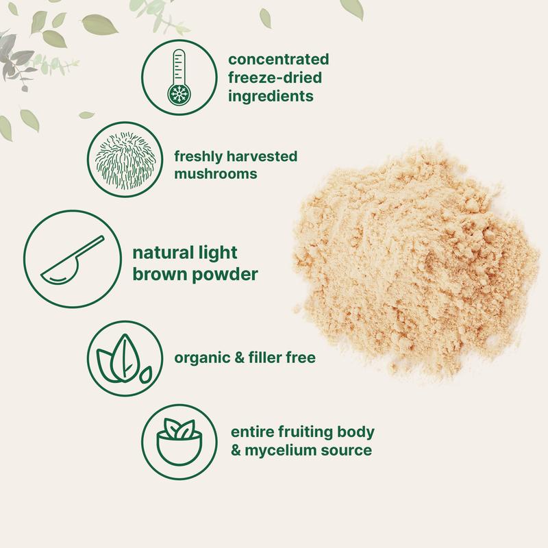 Organic hedgehog beard powder 
