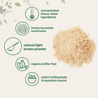 Organic hedgehog beard powder 