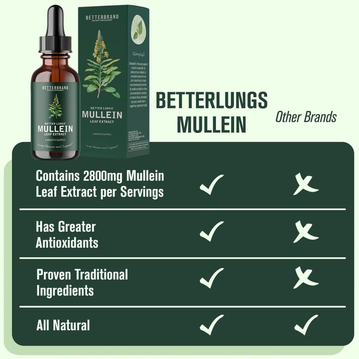 BetterLungs Mullein Leaf &amp; Chlorophyll Extract Drops for Lung Detoxification, Dietary Supplement 