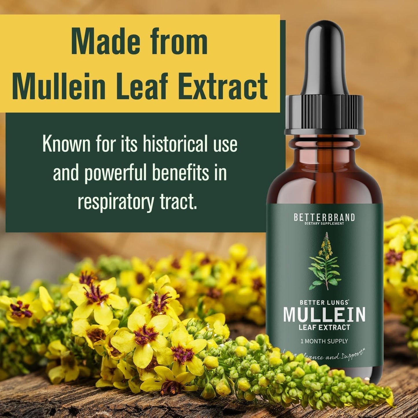 BetterLungs Mullein Leaf &amp; Chlorophyll Extract Drops for Lung Detoxification, Dietary Supplement 