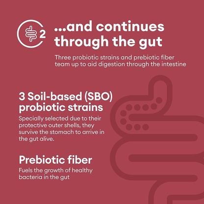 Physician's Choice Digestive Enzymes with Probiotics and Prebiotics – Mealtime Discomfort and Bloating Relief – Multi-Support for Digestive and Gut Health 