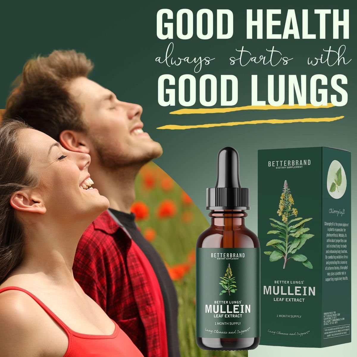 BetterLungs Mullein Leaf &amp; Chlorophyll Extract Drops for Lung Detoxification, Dietary Supplement 
