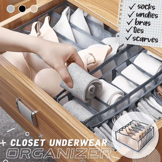 Underwear Organizer (50% off)