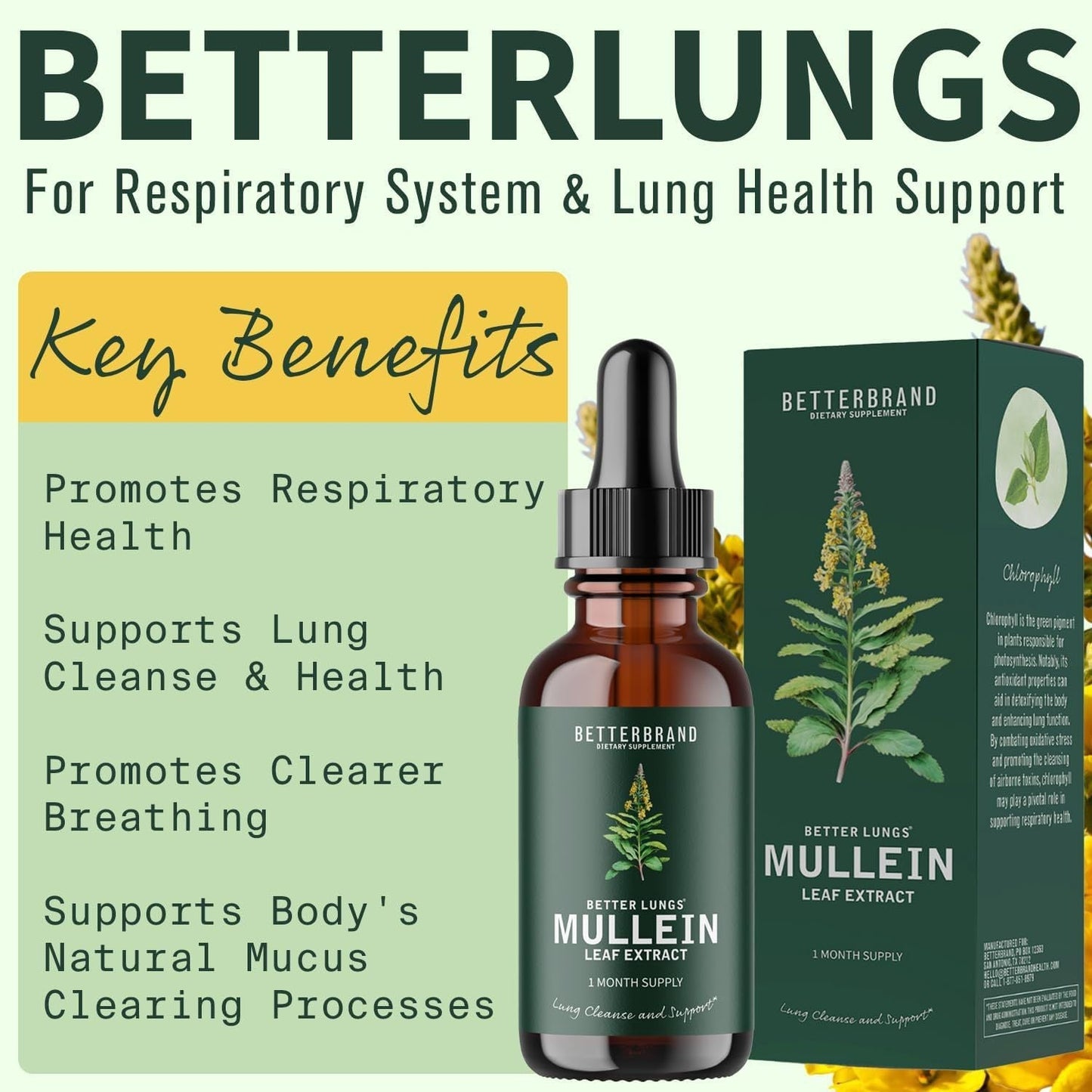 BetterLungs Mullein Leaf &amp; Chlorophyll Extract Drops for Lung Detoxification, Dietary Supplement 