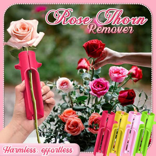 Rose thorn remover